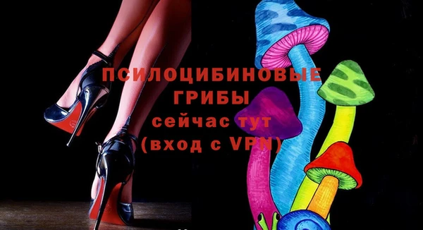 амф Елизово
