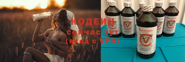 амф Елизово