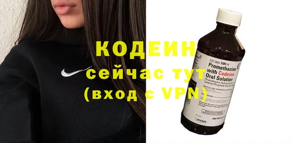 амф Елизово