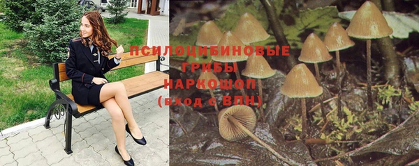 каннабис Ельня