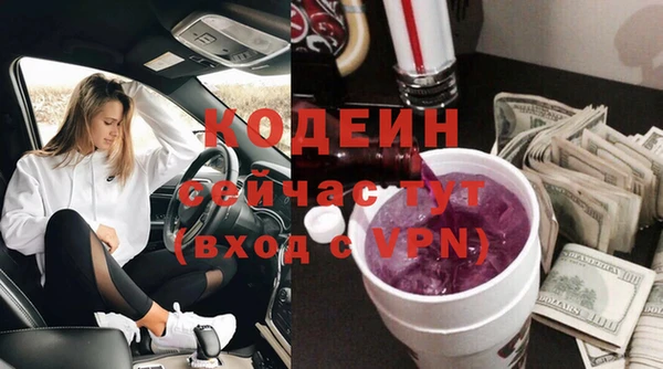 амф Елизово