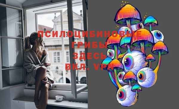 прущая мука Елабуга